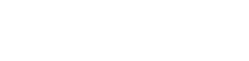 wilson logo white